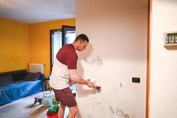 Edgewood, FL Mold Removal Company